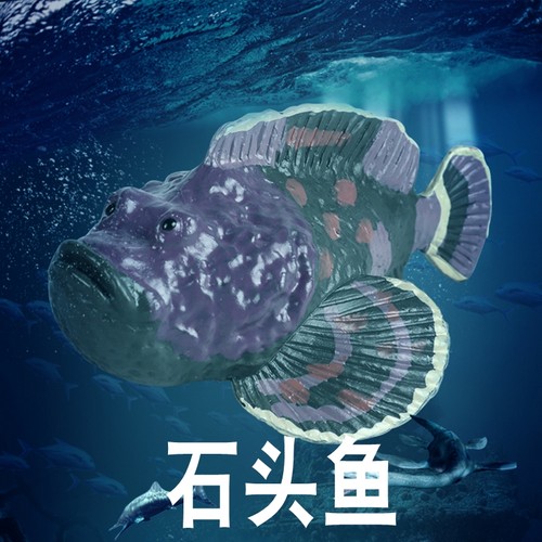 林畅模玩石头鱼模型仿真海洋生物
