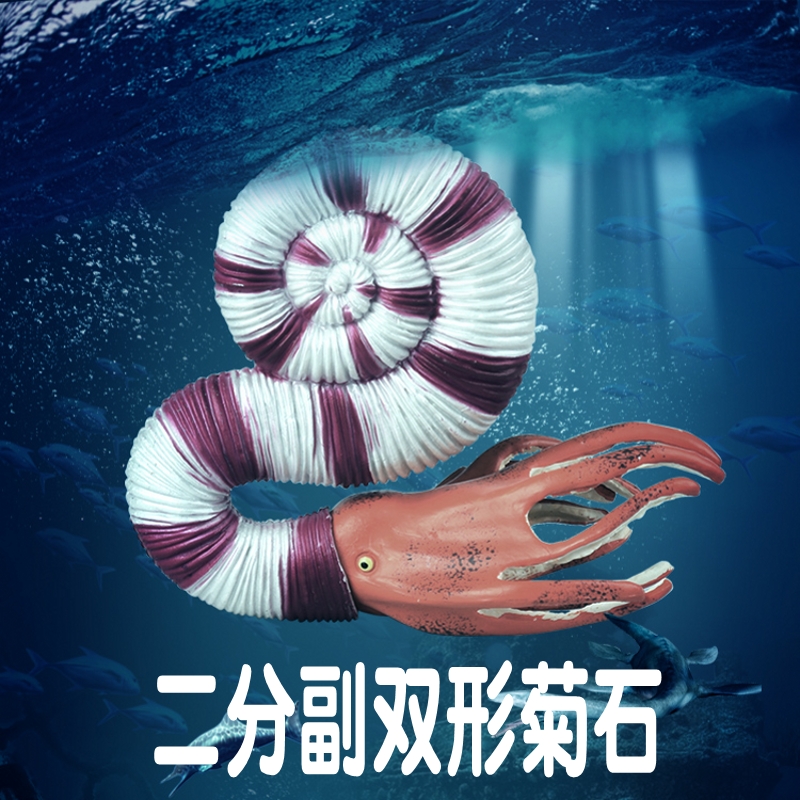 林畅模玩史前海洋生物玩具副双形菊石模型儿童仿真远古动物石炭纪-封面