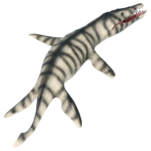 林畅模玩史前巨兽克柔龙模型克诺长头龙儿童仿真动物玩具海洋恐龙