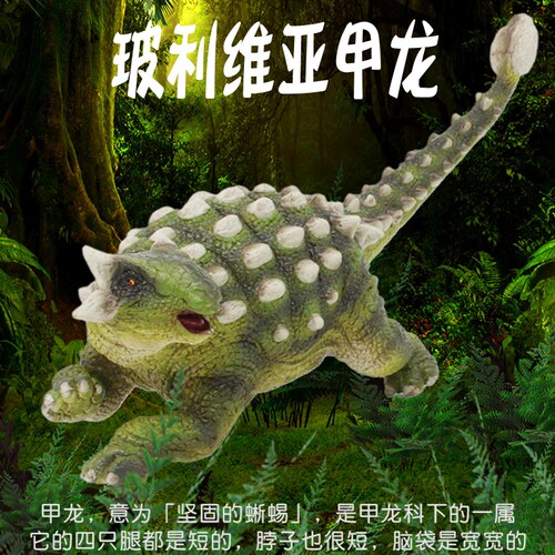 林畅模玩玻利维亚甲龙模型实心