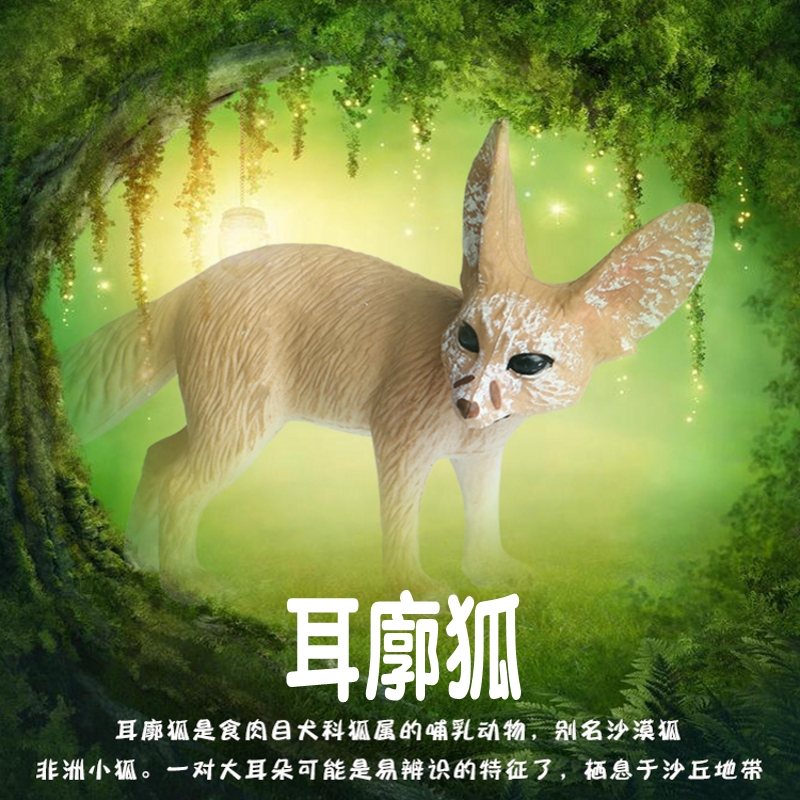 林畅模玩儿童仿真动物玩具耳廓狐模型沙漠狐非洲小狐实心套装手办