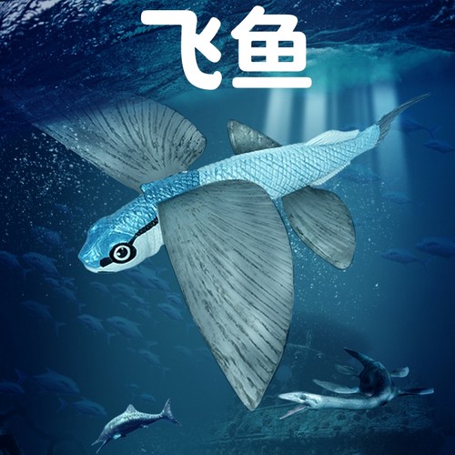 林畅模玩飞鱼模型仿真海洋动物