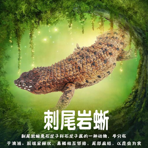 林畅模玩刺尾岩蜥模型仿真动物