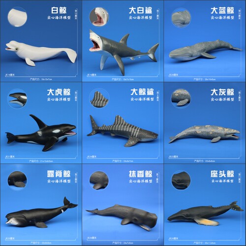 林畅模玩儿童仿真海洋生物动物模型玩具虎鲸蓝鲸白鲸抹香鲸独角鲸 - 封面