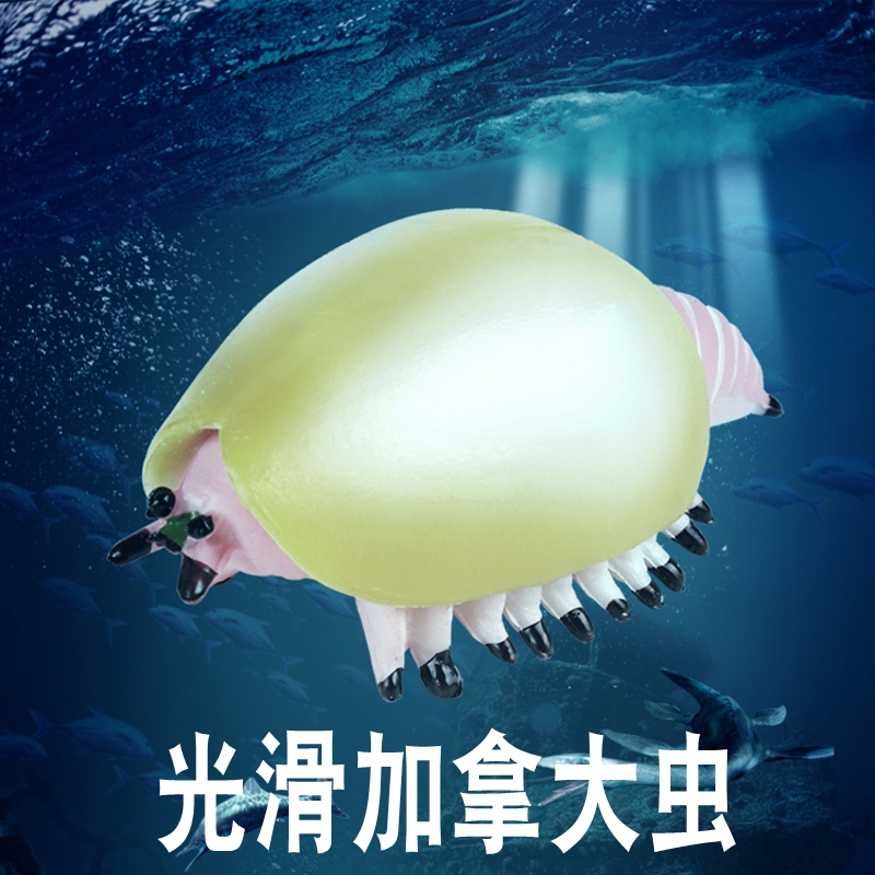 林畅模玩加拿大盾虫模型史前生物