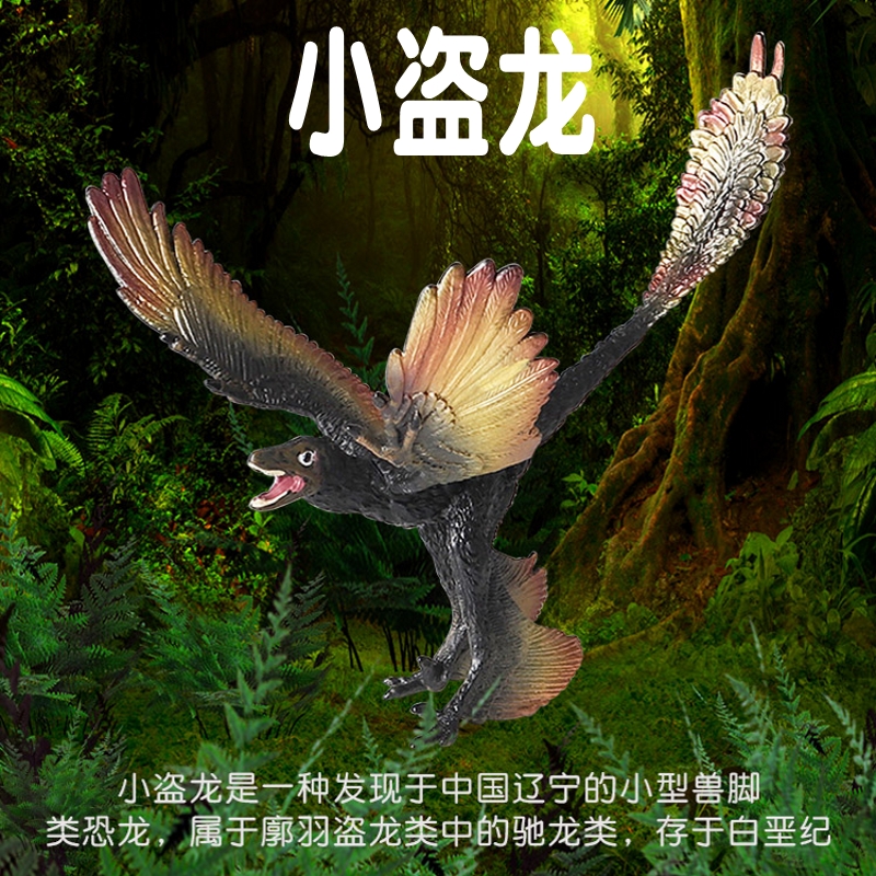 林畅模玩小盗龙模型仿真恐龙玩具