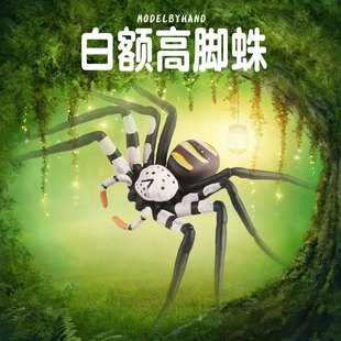 林畅模玩儿童昆虫玩具白额高脚蛛模型大蜘蛛仿真虫子动物男孩认知