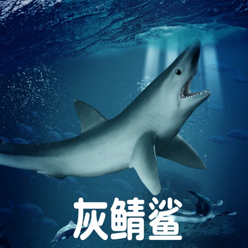 林畅模玩儿童仿真动物海洋鲨鱼