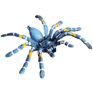 林畅模玩儿童昆虫动物玩具模型巴西蓝蛛白漆头智利火玫瑰仿真蜘蛛