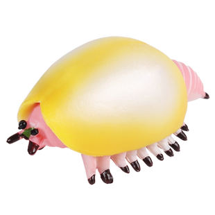 林畅模玩寒武纪史前海洋远古生物加拿大盾虫模型儿童仿真动物玩具