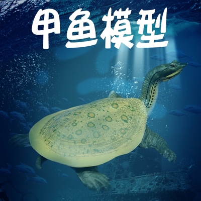 模玩甲鱼水鱼团鱼乌龟仿真动物