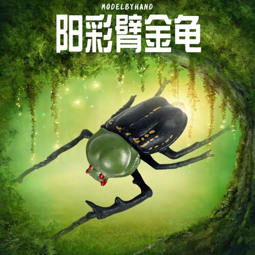 阳彩臂金龟为国家二级保护动物，数量稀少