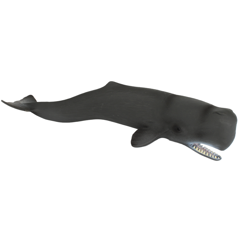 林暢兒童鯨魚(yú)鯊魚(yú)玩具海洋世界抹香鯨模型仿真動(dòng)物套裝大灰鯨白鯨