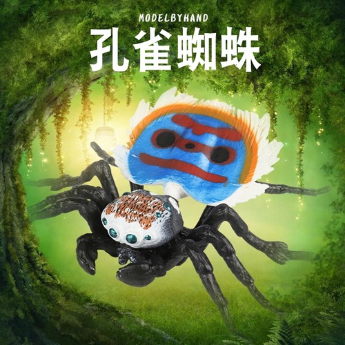林畅模玩孔雀蜘蛛模型仿真昆虫