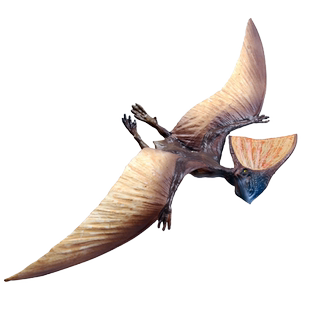 林畅模玩侏罗纪古神翼龙掠海翼龙儿童恐龙模型玩具套装仿真动物