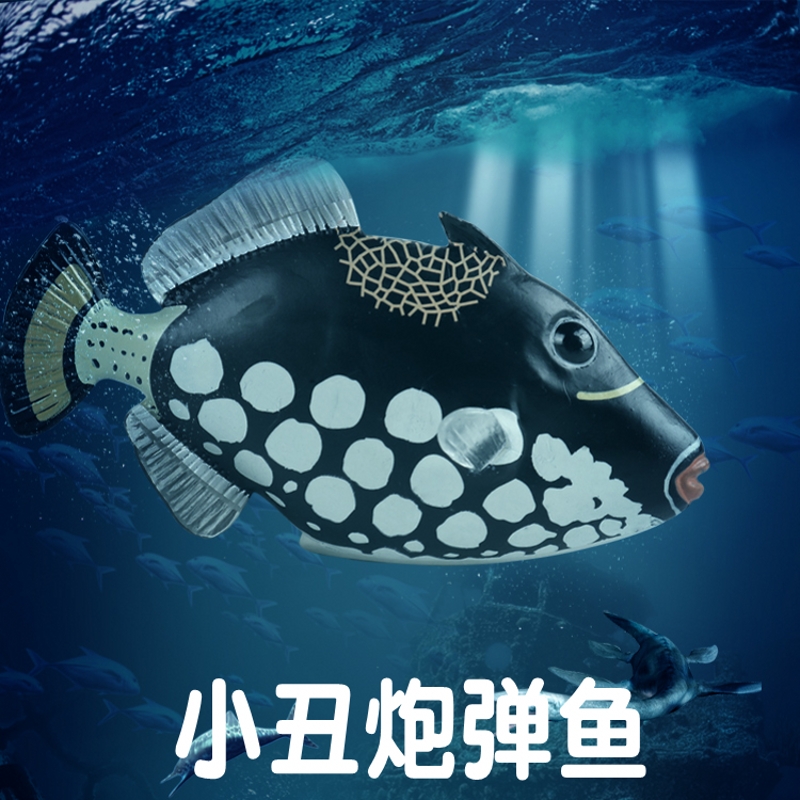 林畅模玩小丑炮弹鱼模型仿真动物