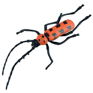 林畅模玩儿童昆虫玩具二点红天牛模型仿真动物实心虫子大甲虫认知