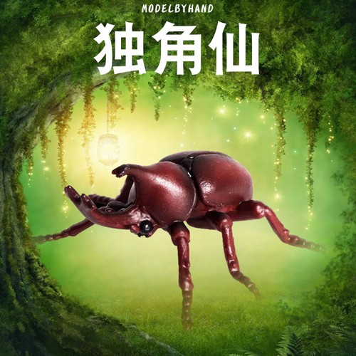 独角仙：学名称双叉犀金龟，又称兜虫