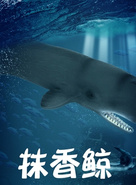 林畅儿童鲸鱼鲨鱼玩具海洋世界抹香鲸模型仿真动物套装大灰鲸白鲸