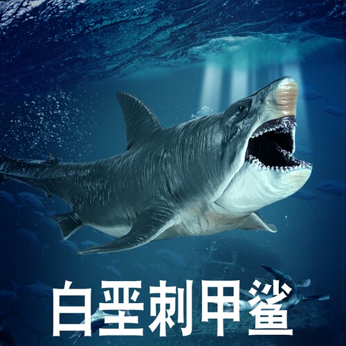 林畅模玩白垩刺甲鲨模型仿真动物
