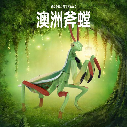 林畅模玩澳洲斧螳模型仿真昆虫