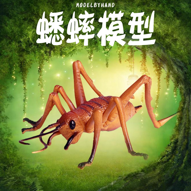 林畅模玩蟋蟀模型仿真昆虫玩具