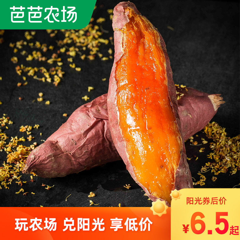 山东蜜薯糖心红薯新鲜番薯正宗烟薯25号密薯烤地瓜沙地农家小山芋