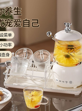 多功能养生壶家用烧水壶办公室小型花茶煮茶器迷你煮茶杯玻璃恒温