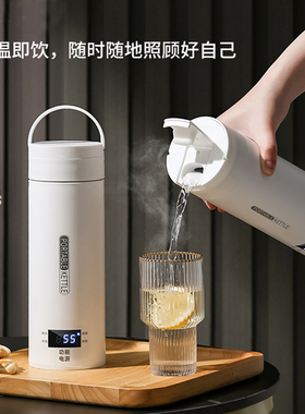 110V美规英欧规便携式电热水杯小型电热杯烧水壶旅行出差酒店跨境