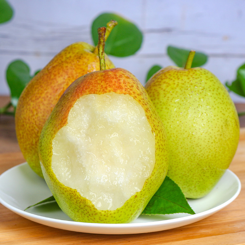 新鲜小香梨孕妇水果大香梨净重4.5斤包邮