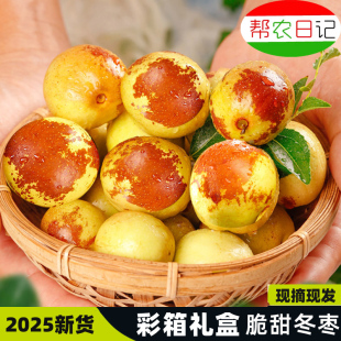 果园现摘脆甜冬枣4.5斤 包邮 顺丰