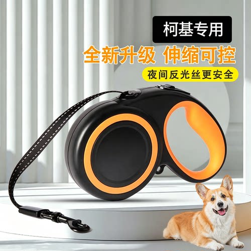 柯基牵引绳中小型犬伸缩遛狗绳