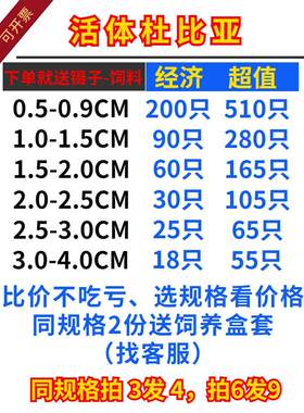 杜比亚蟑螂幼体活虫守宫金龙鱼蜥蜴蜘蛛画眉鸟类食物粮繁殖组饲料