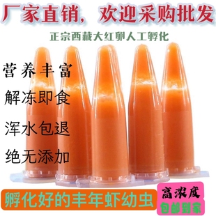 大红卵丰年虾冰冻丰年虾卵超浓幼虫小型鱼迷你鹦鹉鱼营养开口饲料