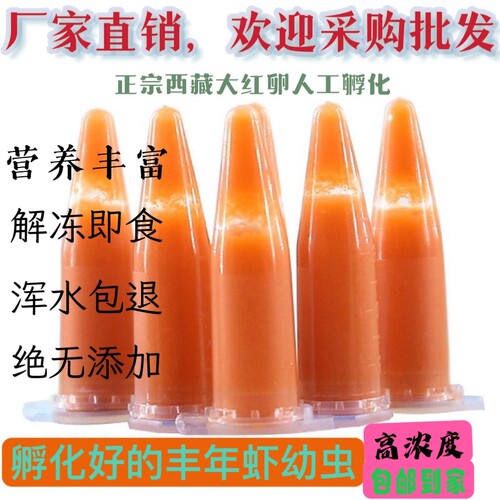 大红卵丰年虾冰冻丰年虾卵超浓幼虫小型鱼迷你鹦鹉鱼营养开口饲料