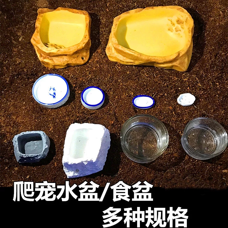 爬虫乌龟爬宠自动饮水器喝水盘宠物蜥蜴陆龟水盆角蛙喂水器用品