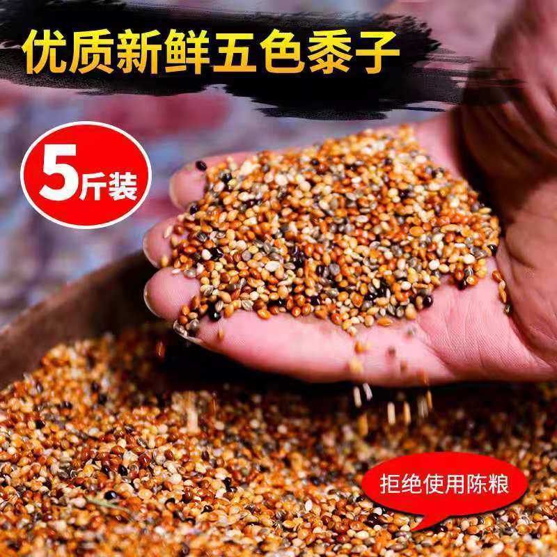 鹦鹉饲料混合五色黍子虎皮鹦鹉鸟食饲料玄凤黄谷子牡丹带壳小米