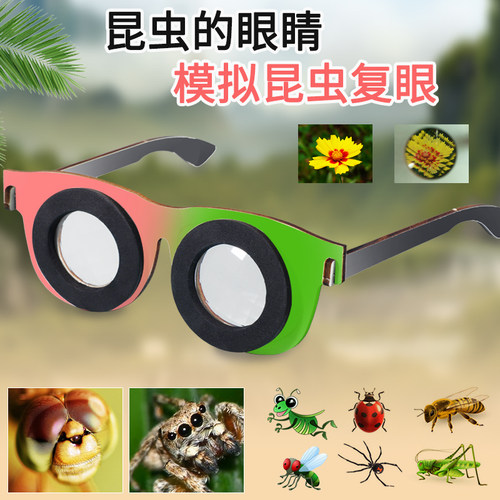 学生科学实验多菱镜复眼 科技小制作材料儿童diy自制发明昆虫眼睛