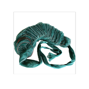 虾笼抓鱼网捕鱼笼捕渔网龙虾网折叠抓鱼工具泥鳅黄鳝笼捕河虾笼网