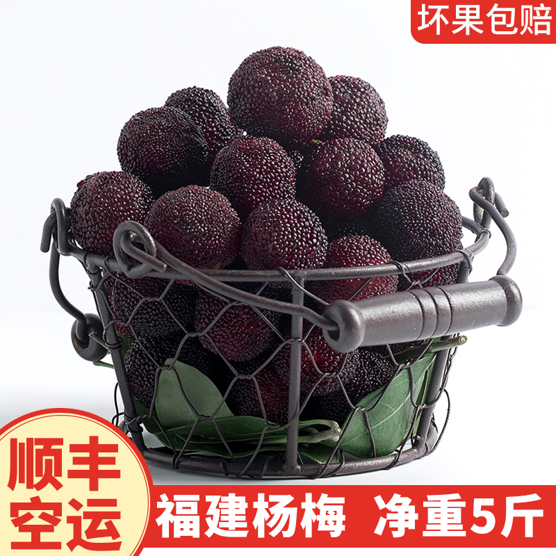 新鲜杨梅当季时令孕妇水果鲜甜大非仙居东魁杨梅现摘现发6斤包邮|msdalam kategori daging perikanan/Buah-buahan segar dan sayur-sayuran/dimasak, buah-buahan segar, 杨梅 - dari Buy2taobao.com untuk memberikan perkhidmatan ejen Taobao profesional membeli