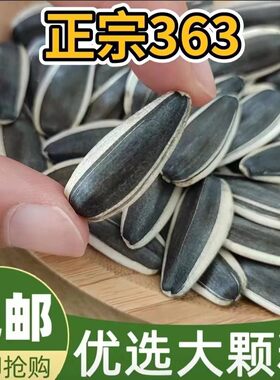 内蒙古363葵花籽新货大颗粒饱满