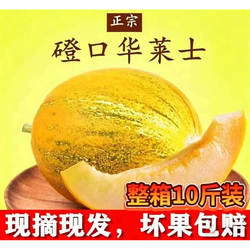 正宗磴口华莱士蜜瓜10斤装整箱应季新鲜水果网纹瓜甜瓜巴盟特产
