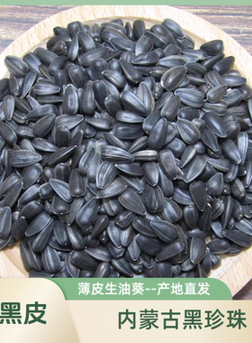 纯黑皮生油葵黑珍珠薄皮大颗粒