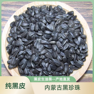 纯黑皮生油葵黑珍珠薄皮大颗粒