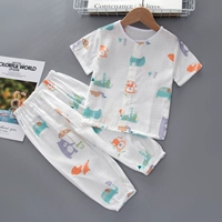 FD301 Короткий световой медведь