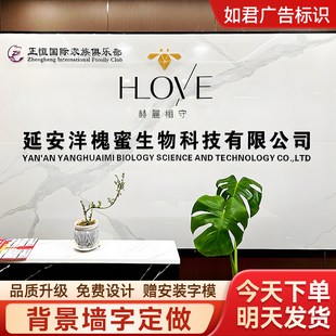 亚克力字定制水晶字pvc广告字门头招牌发光字公司logo背景墙定做