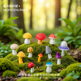 微景观创意可爱蘑菇治愈系套装桌面小摆件苔藓盆景造景装饰品配件