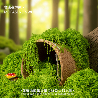 仿真苔藓丝状假青苔装饰摆件