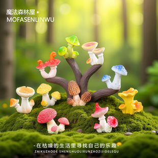 盆景多肉园艺仿真野生蘑菇菌DIY造景装饰品苔藓微景观创意小摆件