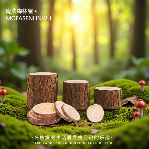 苔藓微景观造景装饰品原木头装饰